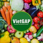 VietGAP cho trồng trọt, thủy sản và chăn nuôi