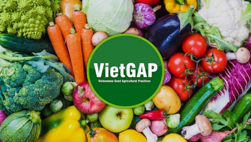 VietGAP cho trồng trọt, thủy sản và chăn nuôi