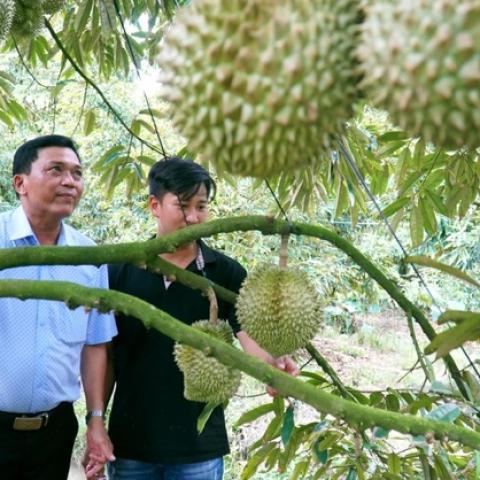 ĐỒNG THÁP SẼ THÍ ĐIỂM ÁP DỤNG HỆ THỐNG TRUY XUẤT NGUỒN GỐC NÔNG SẢN
