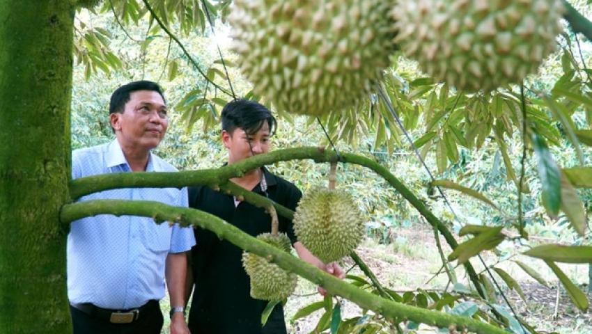ĐỒNG THÁP SẼ THÍ ĐIỂM ÁP DỤNG HỆ THỐNG TRUY XUẤT NGUỒN GỐC NÔNG SẢN